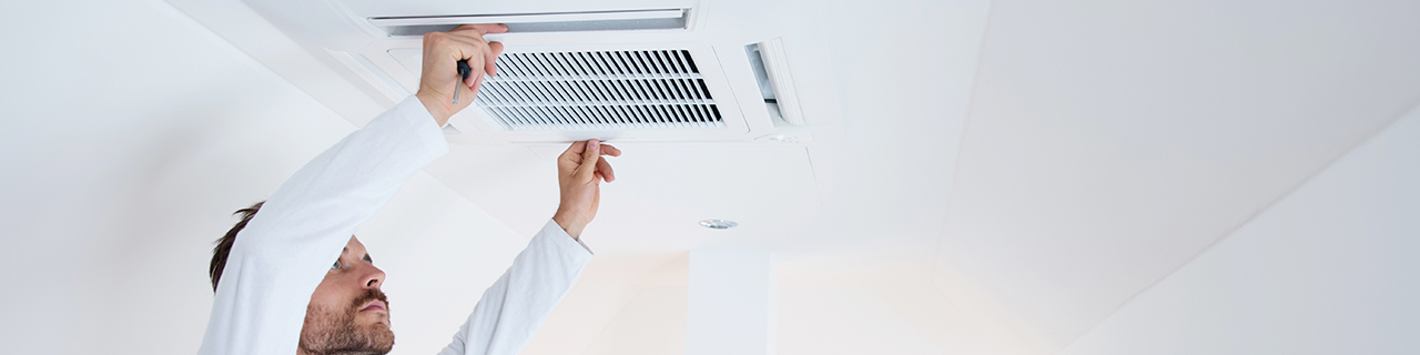 Hier handelt es sich um ein dekoratives Bildelement.